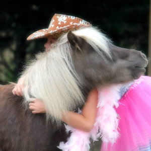 Mini Ha Ha Horse Haven Charitable Trust