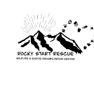 Rocky Start Rescue Logo