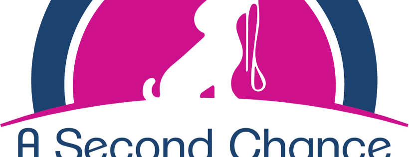 A Second Chance for Ziva