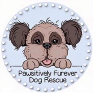 Pawsitively furever dog rescue Logo