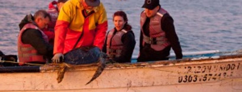 Oceanic Society Expeditions