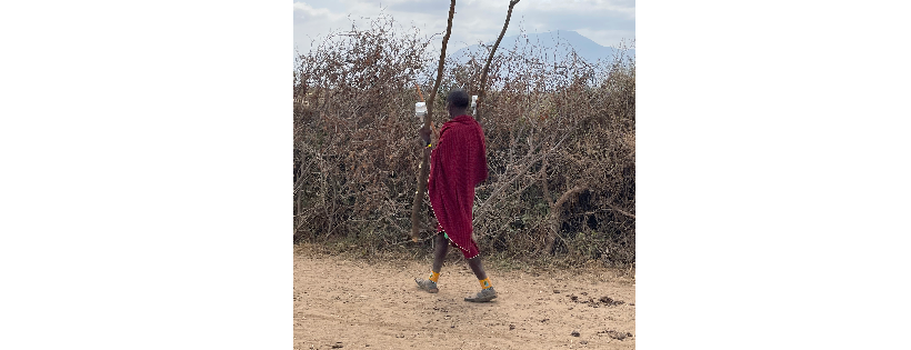 Tanzania Lion Illumination Project