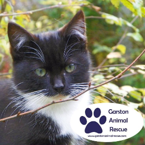 Garston Animal Rescue Logo