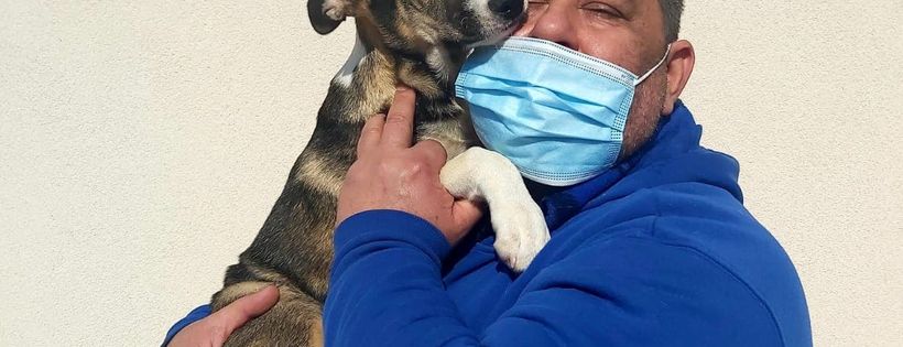 Romania Animal Rescue inc dba Animal Spay Neuter International