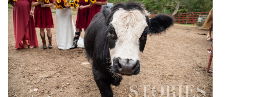 Whispering acres sanctuary