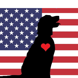 Healing Hounds Inc Logo