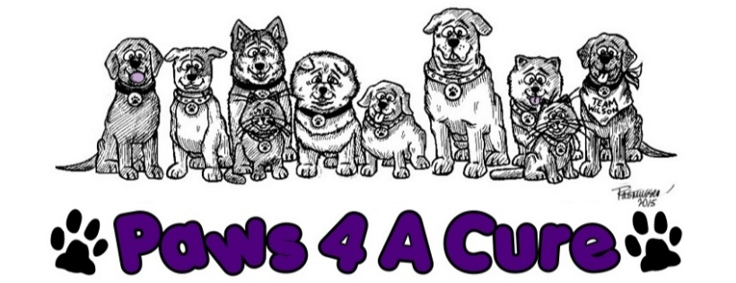 Paws 4 A Cure