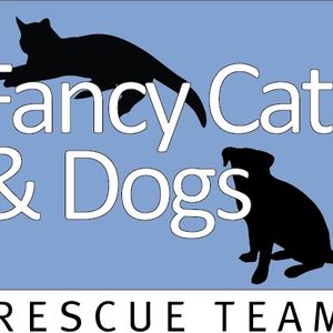 Fancy Cats & Dogs Rescue Team Logo
