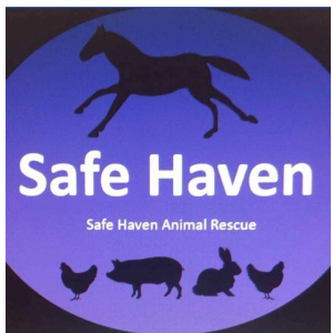 Safe haven animal rescue uk Logo