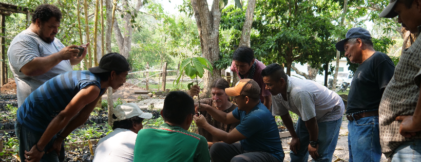 Heirloom Cacao Preservation Fund