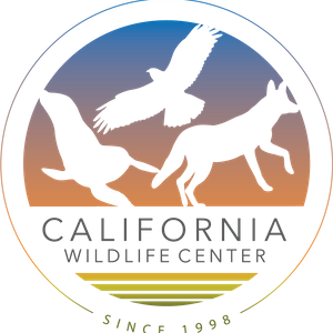California Wildlife Center Logo
