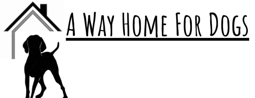 a way home for dogs