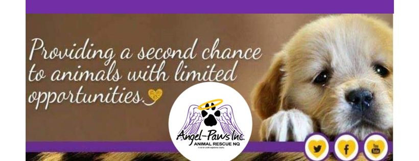 Angel Paws Inc Animal Rescue North Queensland