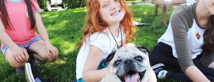 Naperville Area Humane Society