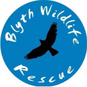Blyth Wildlife Rescue Logo