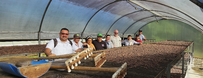Heirloom Cacao Preservation Fund