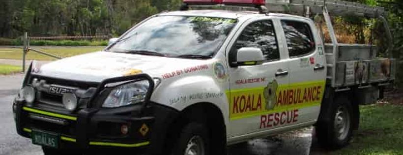 Koala Rescue Queensland Incorporated