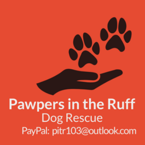Pawpers in the Ruff Logo