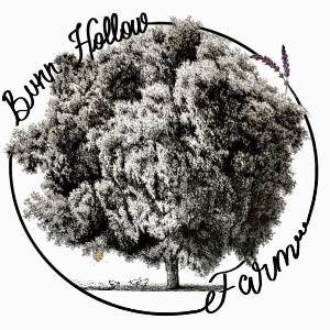 Bunn Hollow Farm Animal Rescue