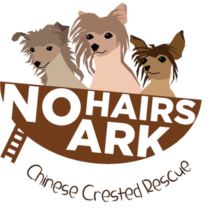 No Hairs Ark Chinese Crested Rescue