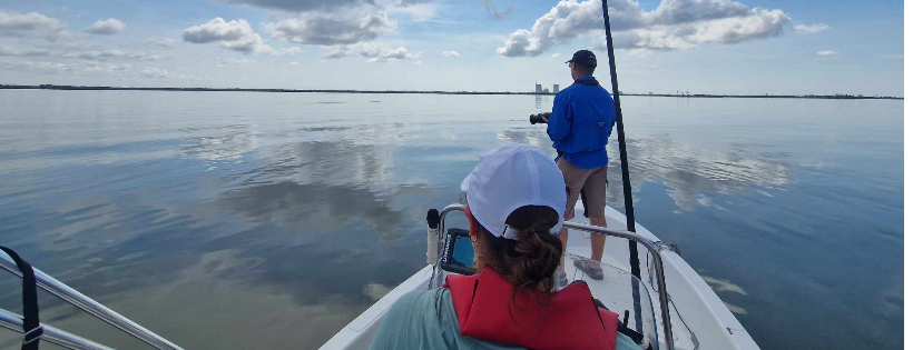 Cedar Key Dolphin Project