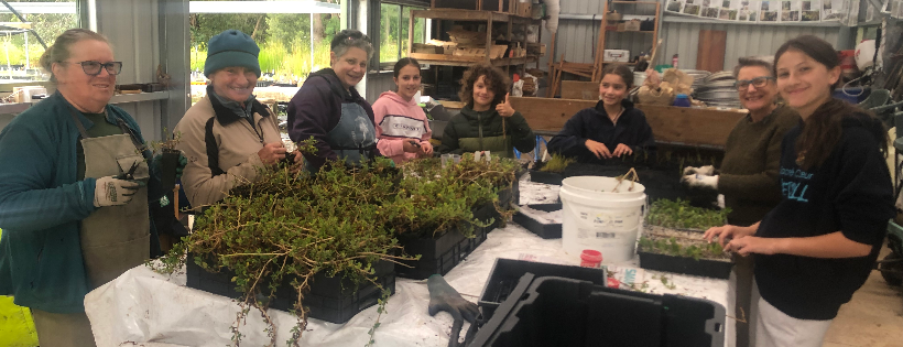 Southern Otway Landcare Network
