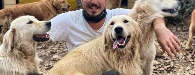 Tattered Paws and Golden Hearts Rescue