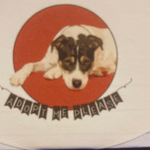 Adopt Me Please Rescue Logo