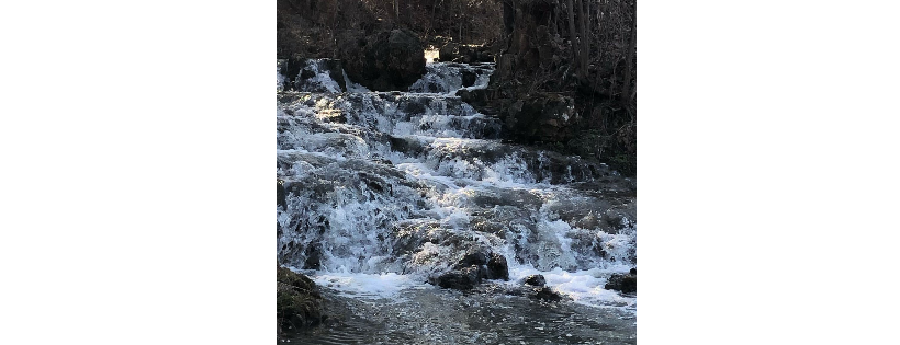 Old Man River Nature Retreat