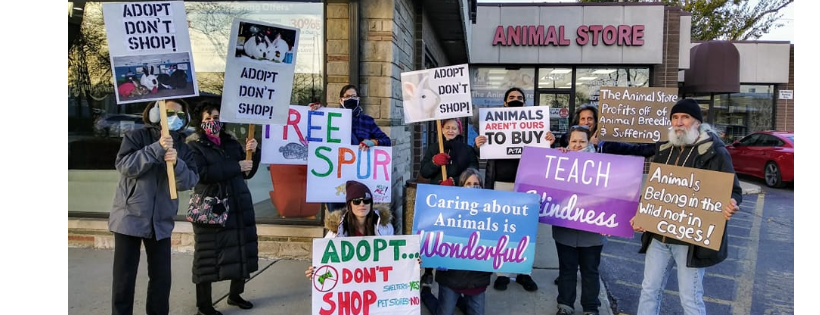 Chicago Alliance for Animals (CAA)