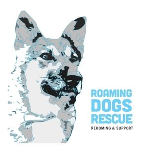 Roaming dogs rescue