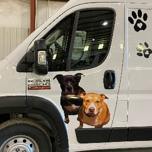 3 Girls Animal Rescue Logo
