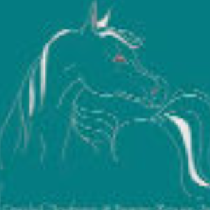 Coastal Arabians Equine Rescue Inc. Logo