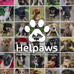 Helpaws Logo