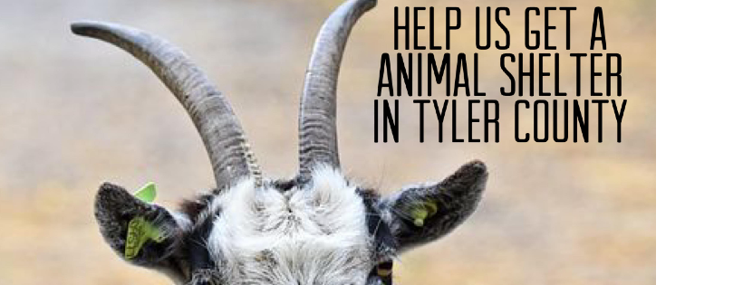 Mountaineer Animal Shelter