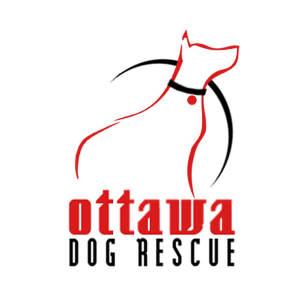 Ottawa Dog Rescue Logo
