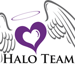 Halo Team Inc