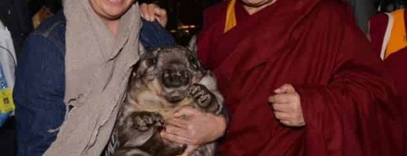Wombat Awareness Organisation SA Inc