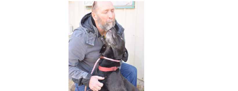 Friends Furever Animal Rescue