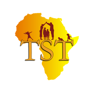 The Small Things Logo