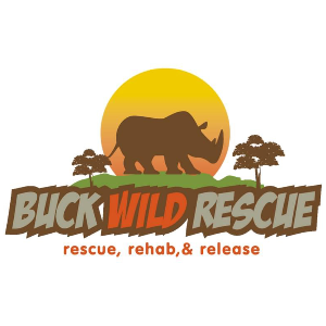 Buck Wild Animal Rescue and Wildlife Rehab Logo