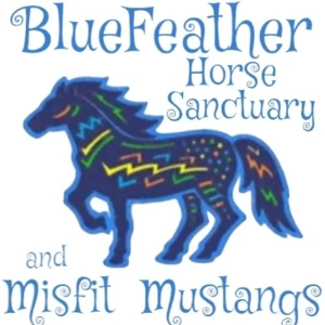 BlueFeather Horse Sanctuary and Misfit Mustangs