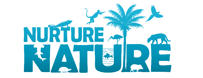 Sustainable Innovation Initiatives Inc
