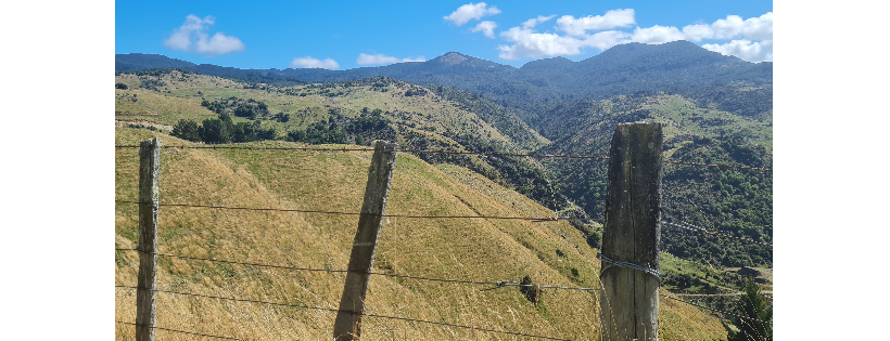 Takaka Hill Biodiversity Group Trust
