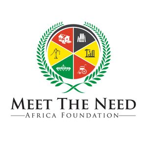 Meet the Need Africa Foundation