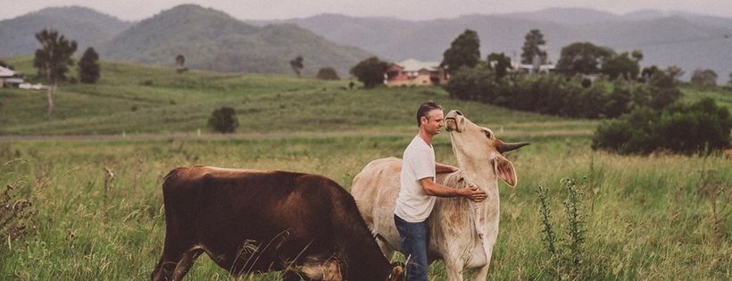 Save A Cow Foundation