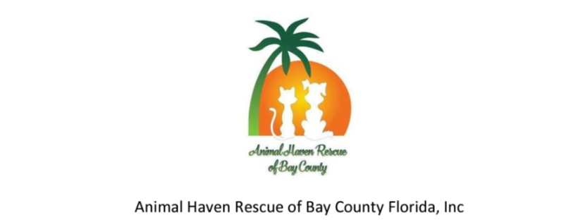 Animal Haven Rescue of Bay County