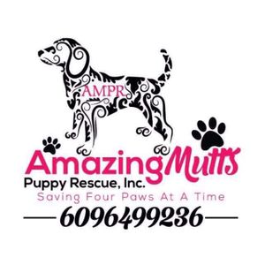 Amazing Mutts Puppy Rescue, Inc. Logo