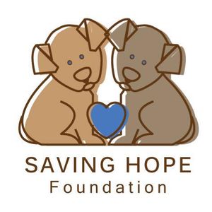 Saving Hope Foundation Logo
