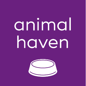 Animal Haven